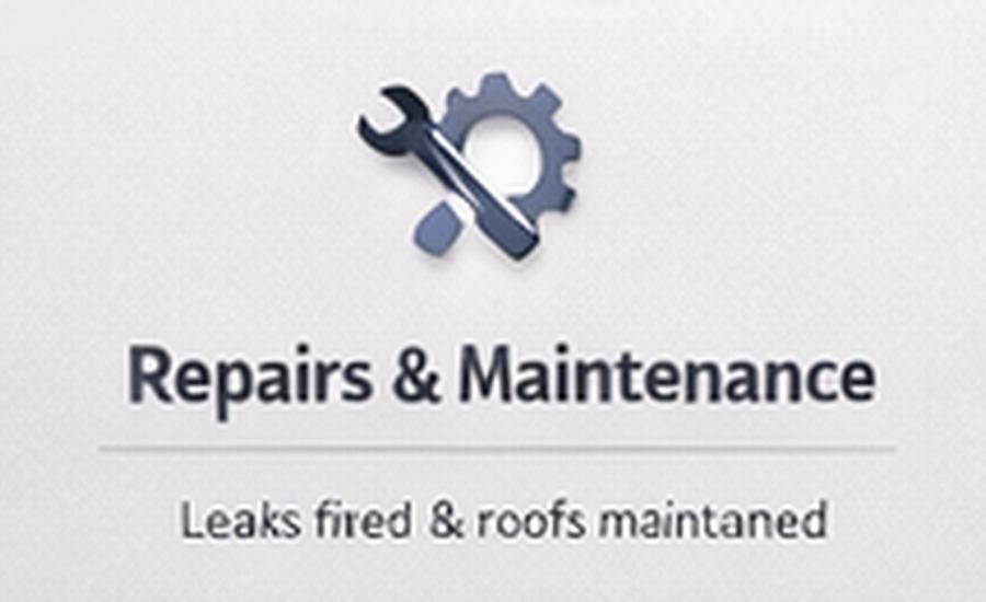 Roof repairs and maintenance