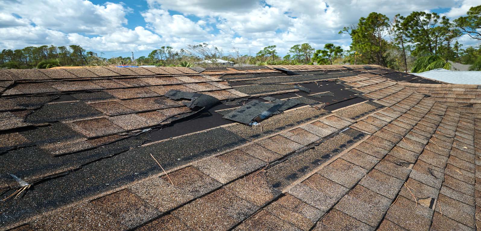 Roof Repairs